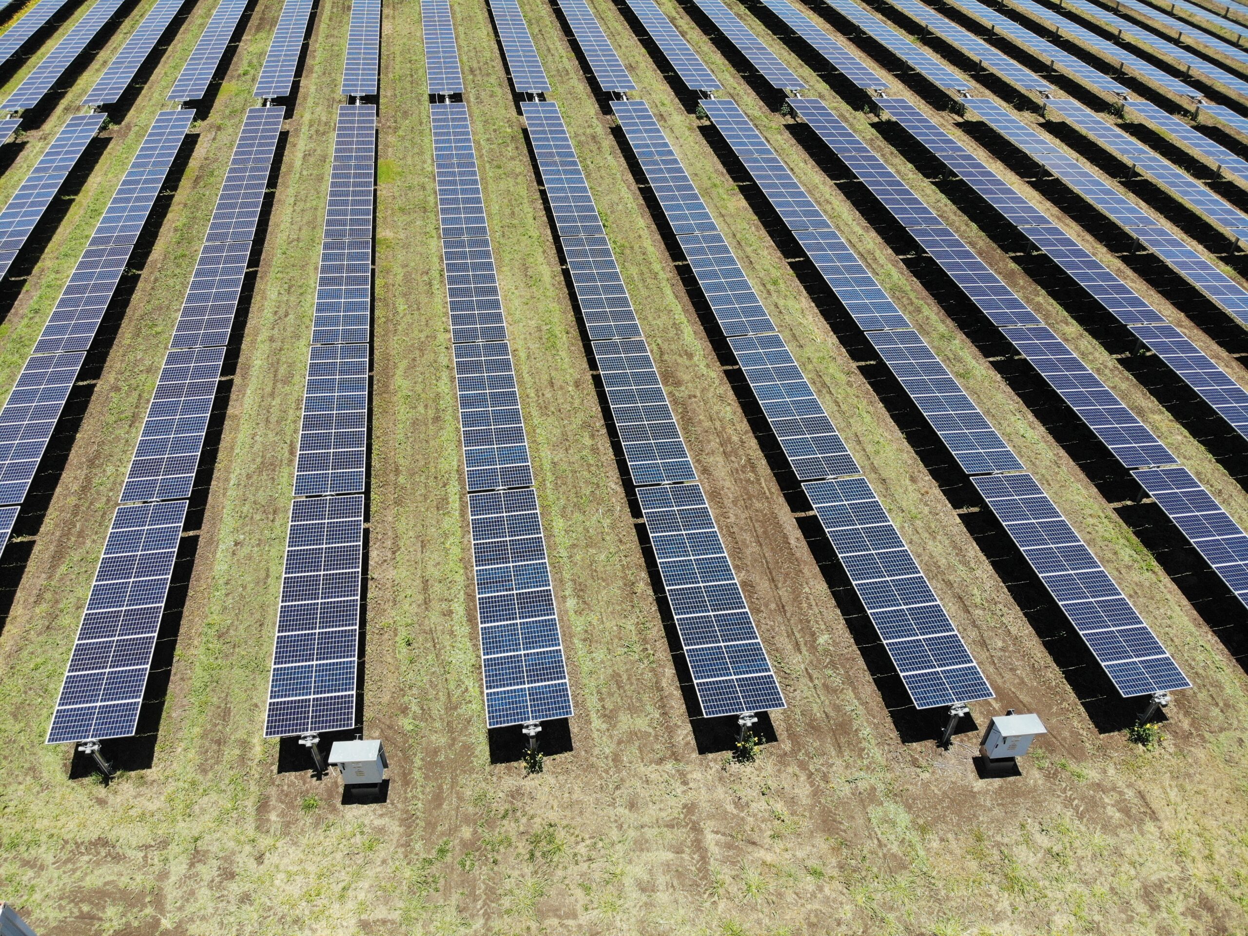 emerald solar farm